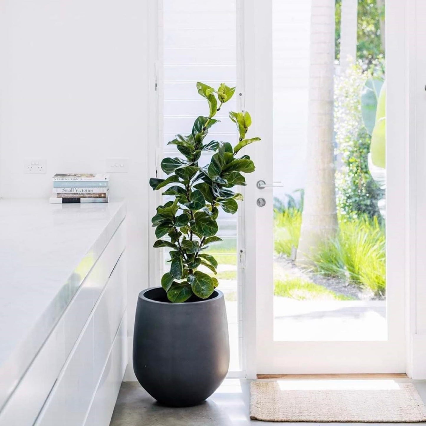 Jardinière conique en fibre de verre DreamPatio La Mirada, 1 pièce, pour intérieur/extérieur