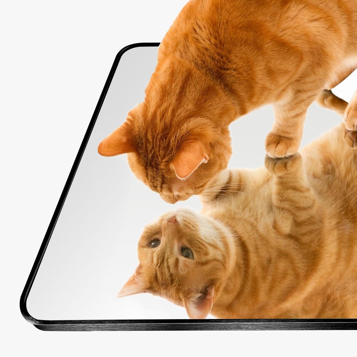 Miroir de sol moderne pleine longueur Miroir autoportant