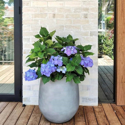 Jardinière conique en fibre de verre DreamPatio La Mirada, 1 pièce, pour intérieur/extérieur