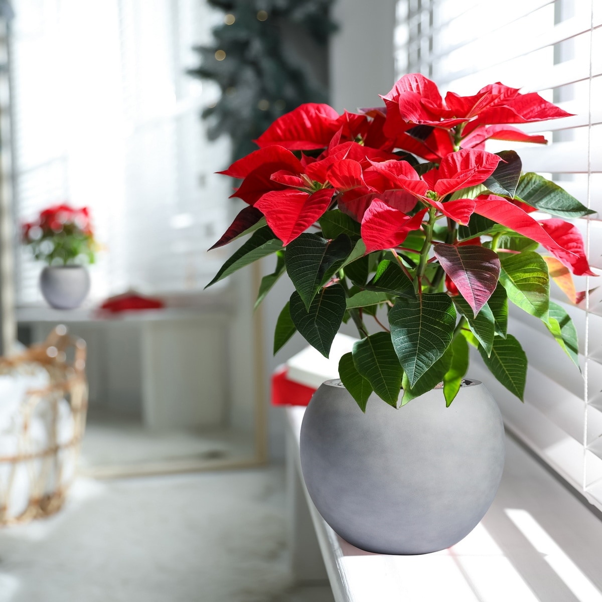 Jardinière sphérique moderne en fibre de verre DreamPatio Riverside pour intérieur/extérieur