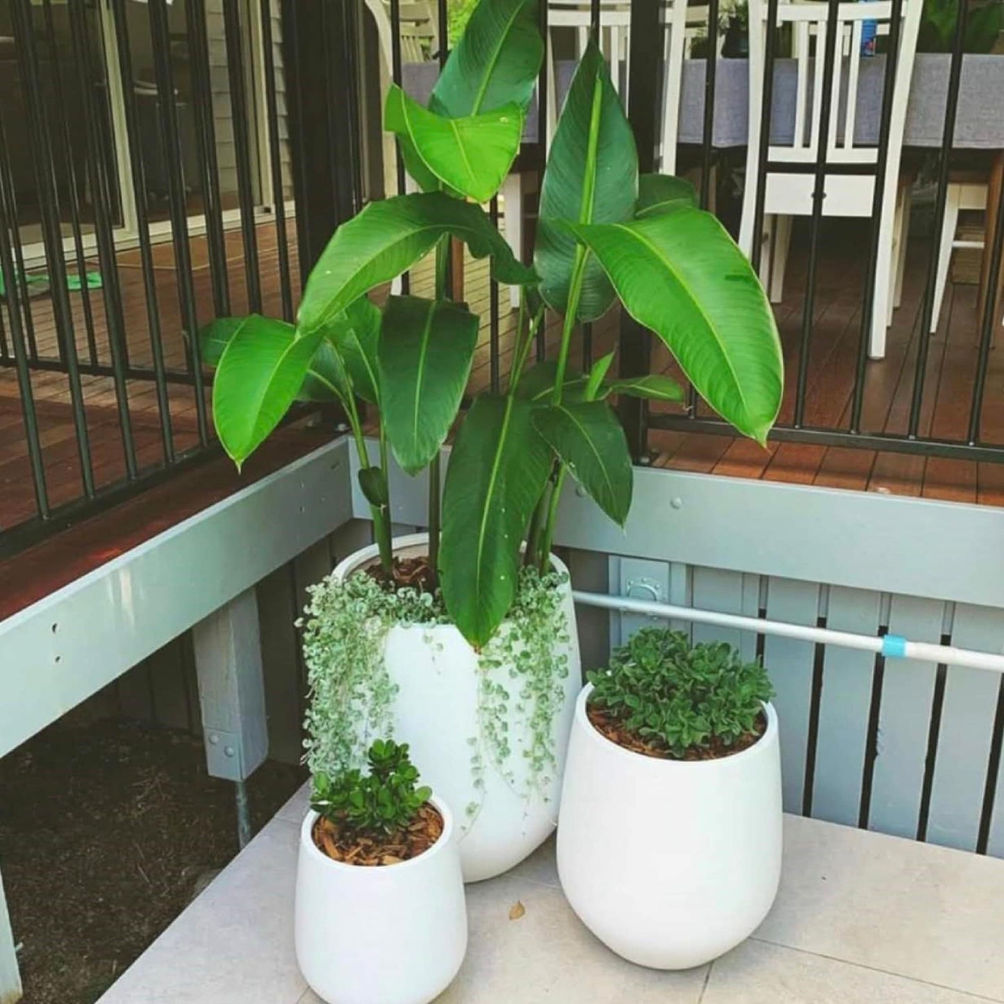 Jardinière conique en fibre de verre DreamPatio La Mirada, 1 pièce, pour intérieur/extérieur