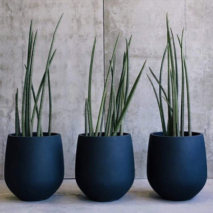 Jardinière conique en fibre de verre DreamPatio La Mirada, 1 pièce, pour intérieur/extérieur