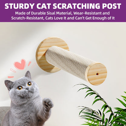 Ensemble d'étagères murales pour chat Moasis, ensemble d'escalade en bois pour chat