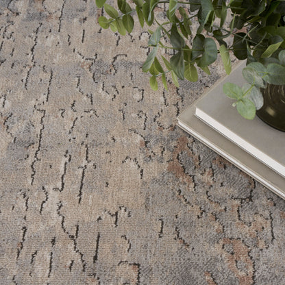 Tapis Nourison Concerto à effet vieilli abstrait beige et gris