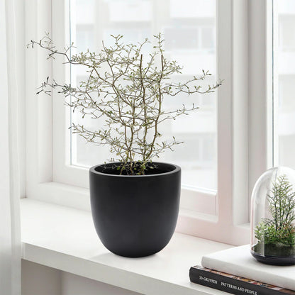 Jardinière ronde conique en MgO, pour l'intérieur et l'extérieur