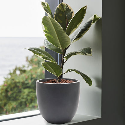 Jardinière ronde conique en MgO, pour l'intérieur et l'extérieur