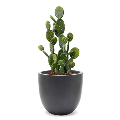 Jardinière ronde conique en MgO, pour l'intérieur et l'extérieur