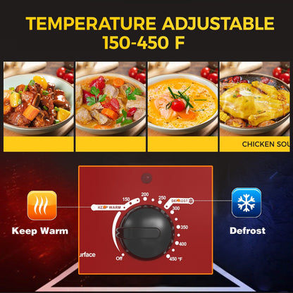 Four à rôtir Royalcraft avec plateau amovible