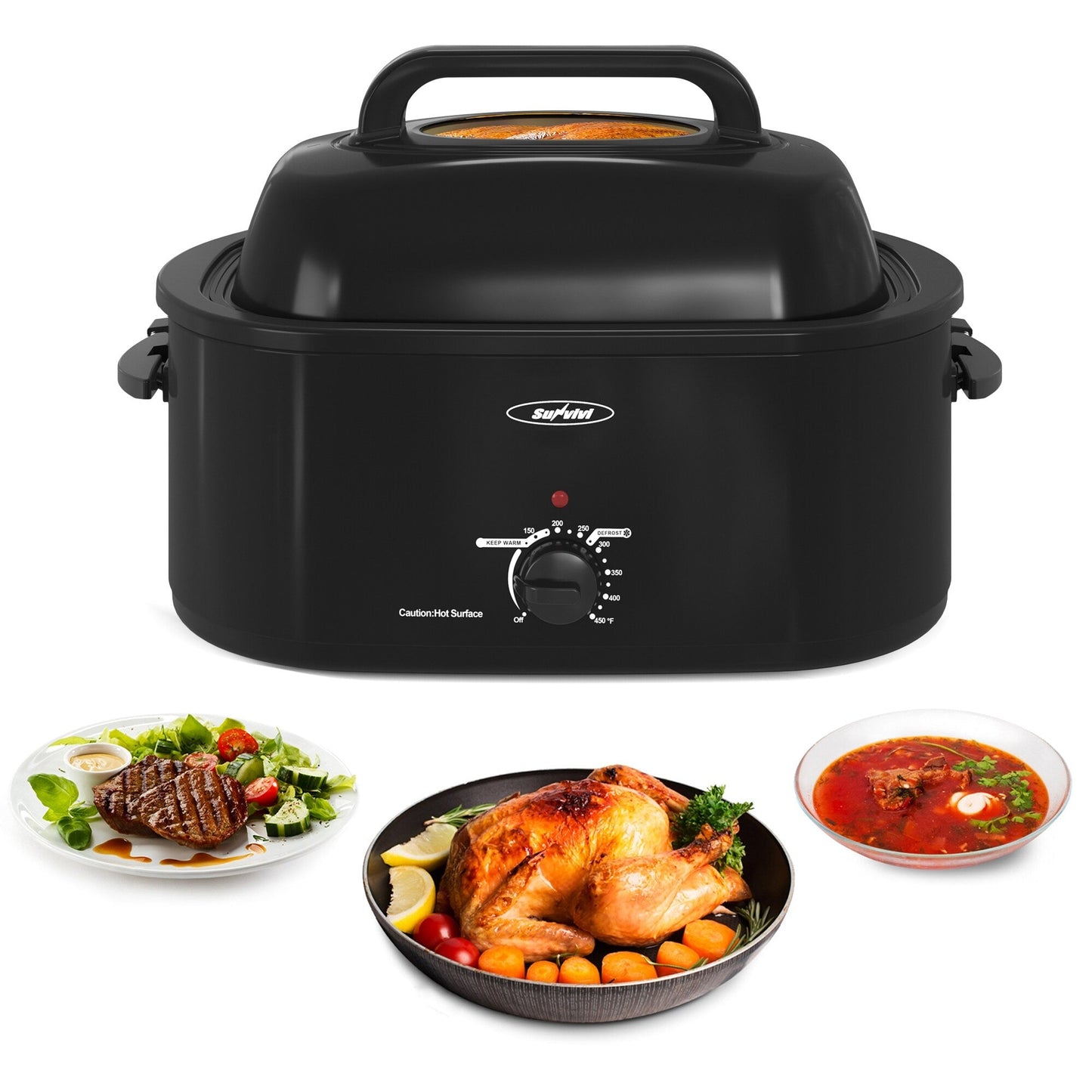 Four à rôtir Royalcraft avec plateau amovible