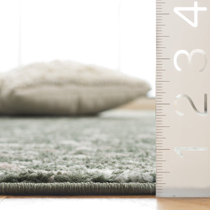 Tapis Adirondack Hildegard Chevron vieilli SAFAVIEH