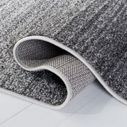 SAFAVIEH Tapis Adirondack Muzeyyen Ombre vieilli