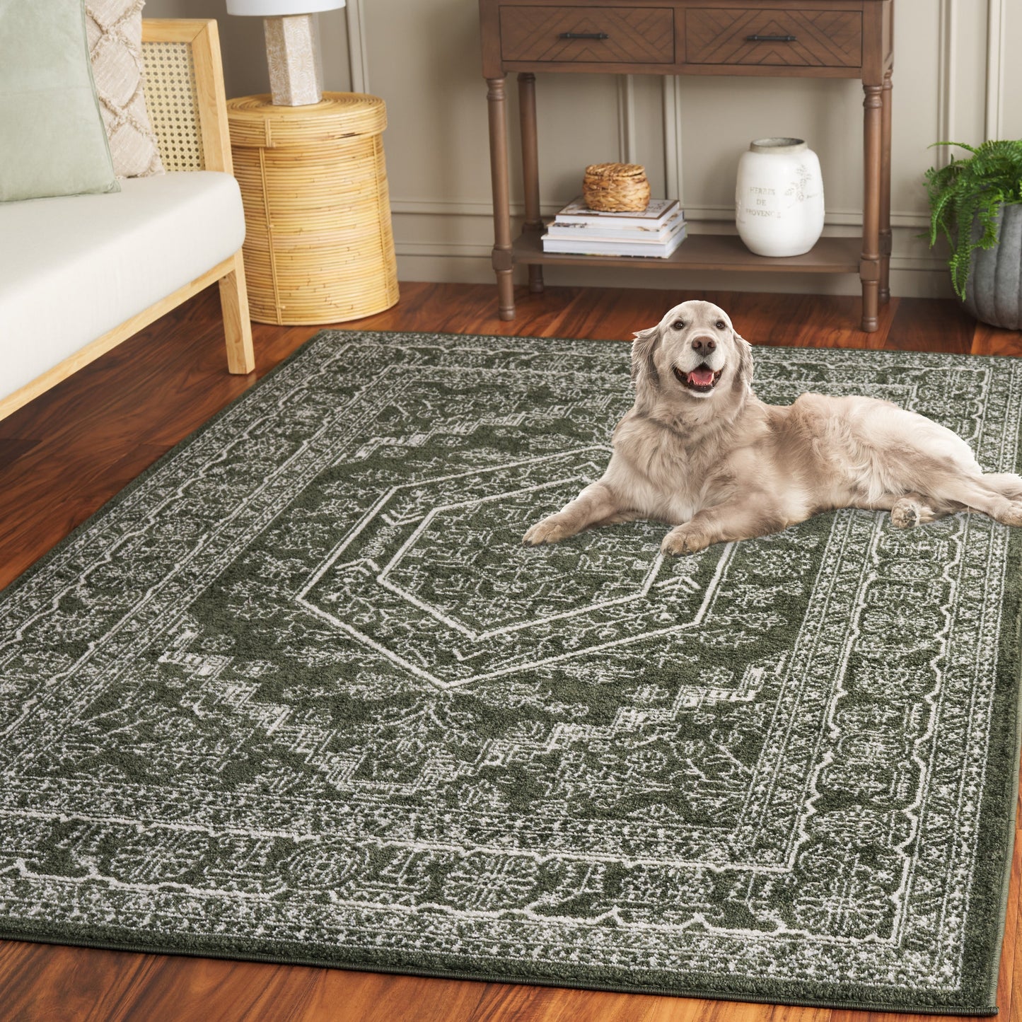 Tapis SAFAVIEH Adirondack Sian rustique à médaillon oriental