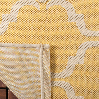 SAFAVIEH Courtyard Charleen Tapis de patio imperméable intérieur/extérieur