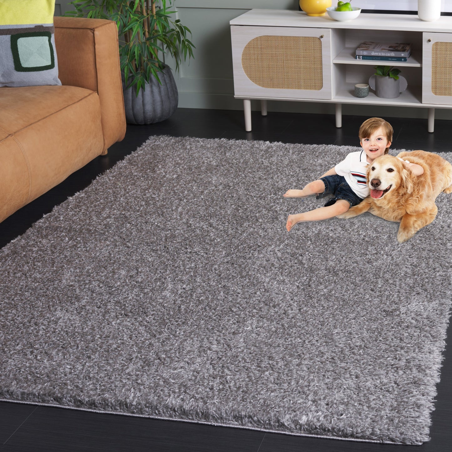 Tapis contemporain SAFAVIEH Lindsay Shag Luann