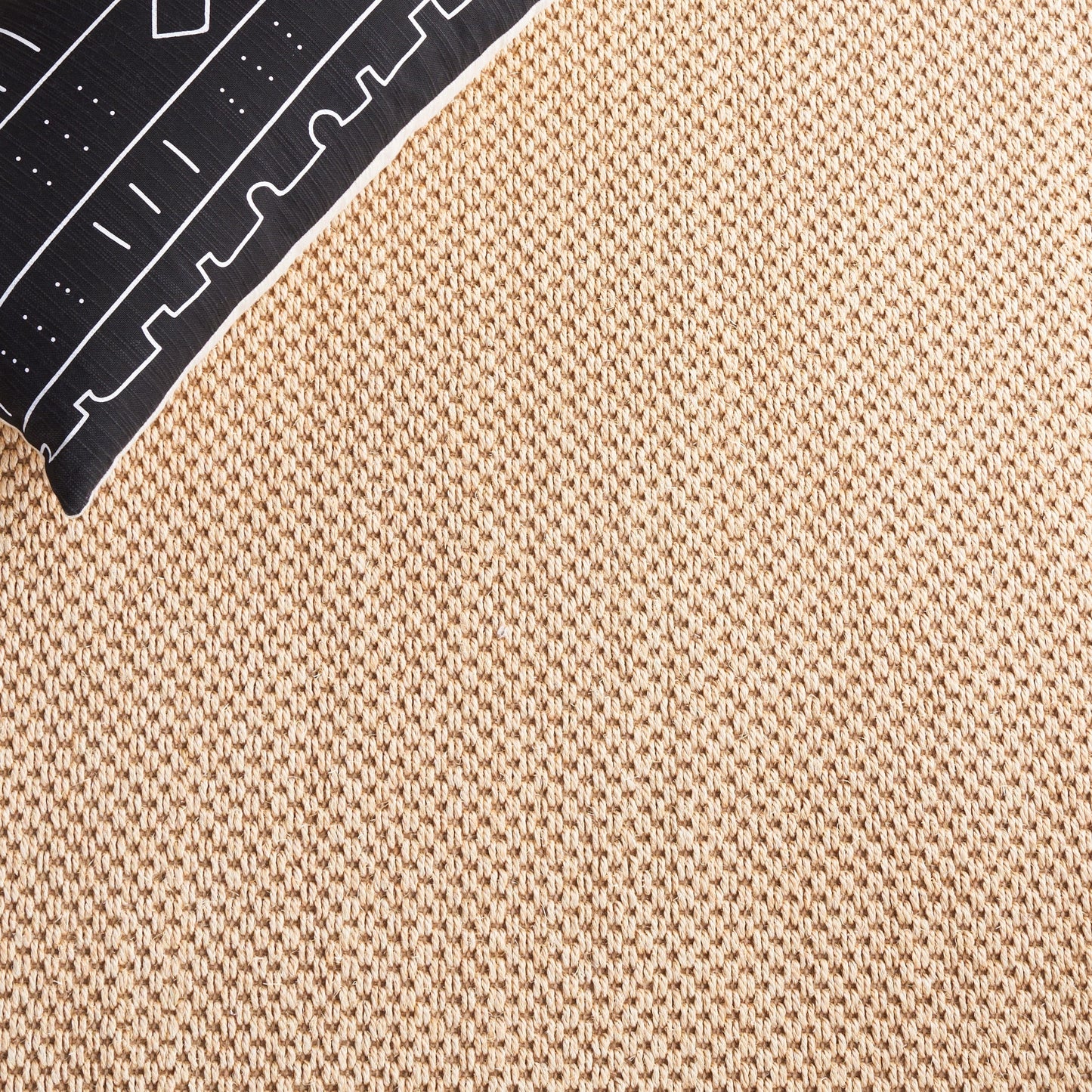 Tapis en sisal SAFAVIEH Venus en fibre naturelle, bordure décontractée