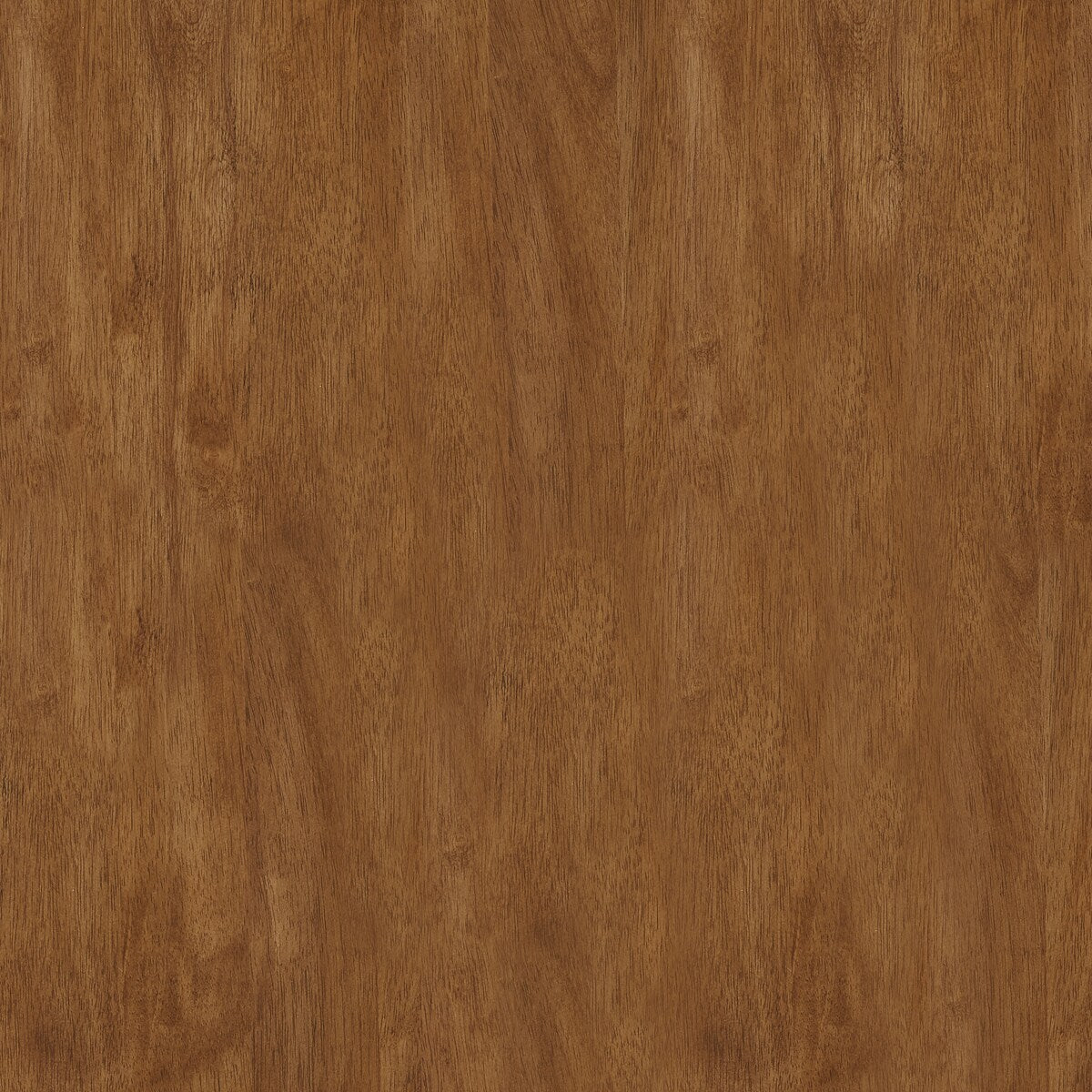 Tabourets de bar sans dossier Salvador II (lot de 2) par iNSPIRE Q Classic