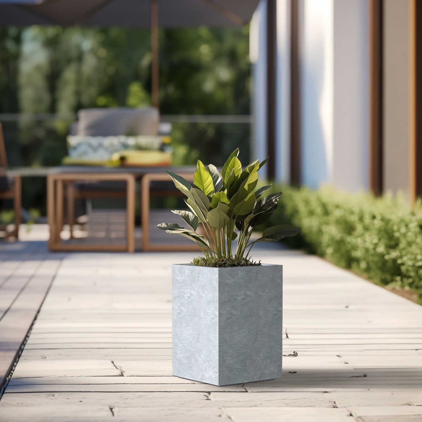 Jardinières rectangulaires en béton de grande taille / Grandes jardinières d'intérieur et d'extérieur