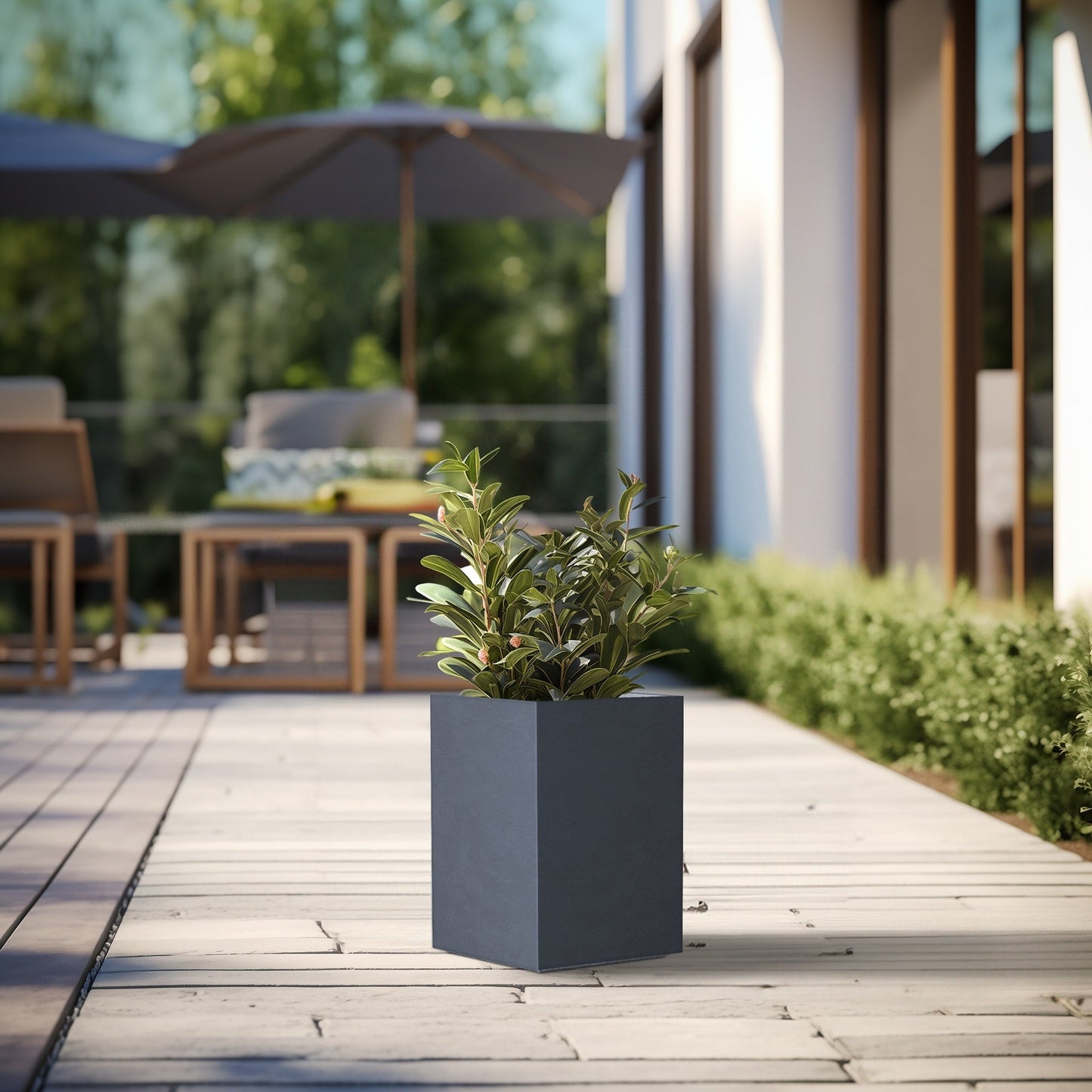 Jardinières rectangulaires en béton de grande taille / Grandes jardinières d'intérieur et d'extérieur