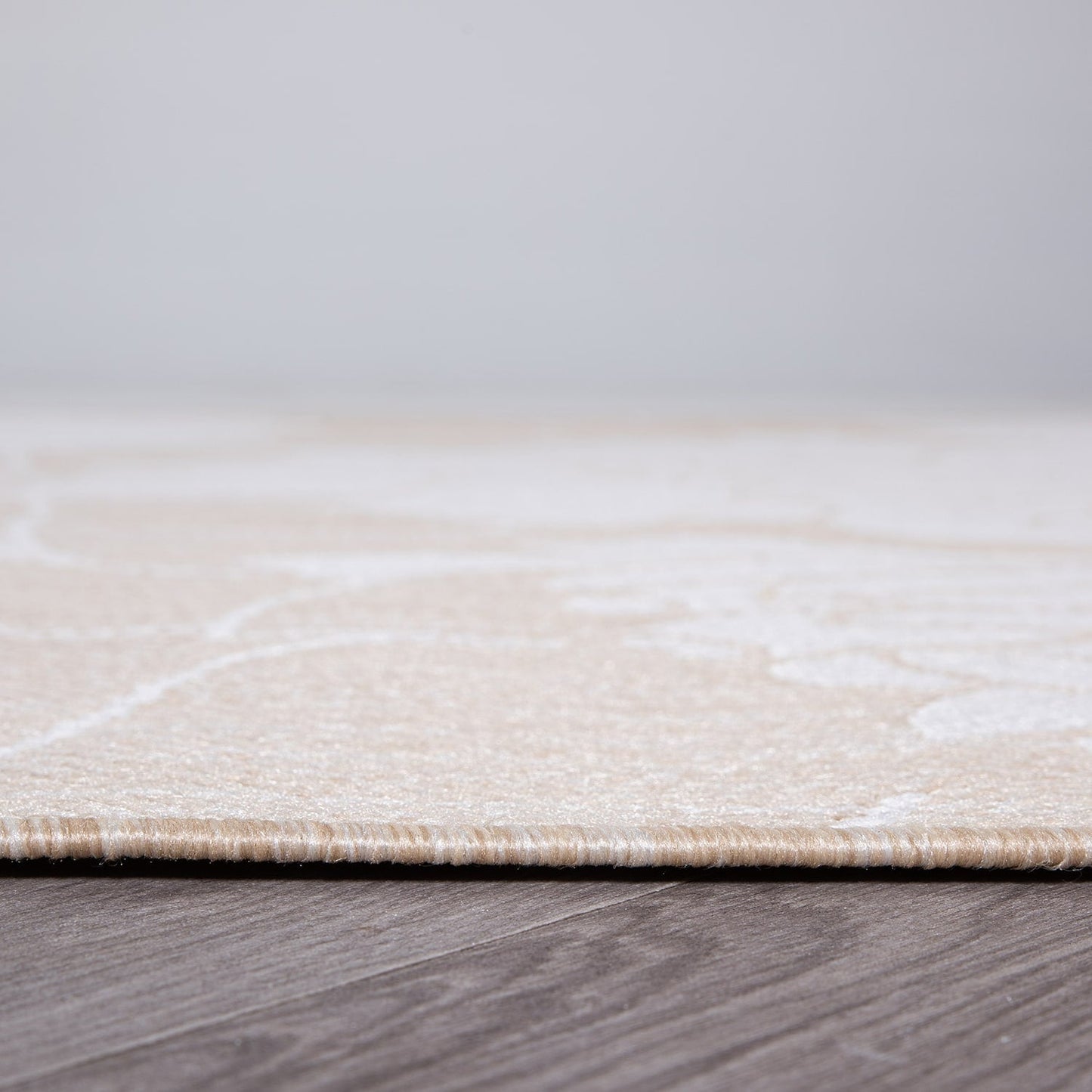 Tapis d'intérieur/extérieur texturé à motif floral moderne World Rug Gallery